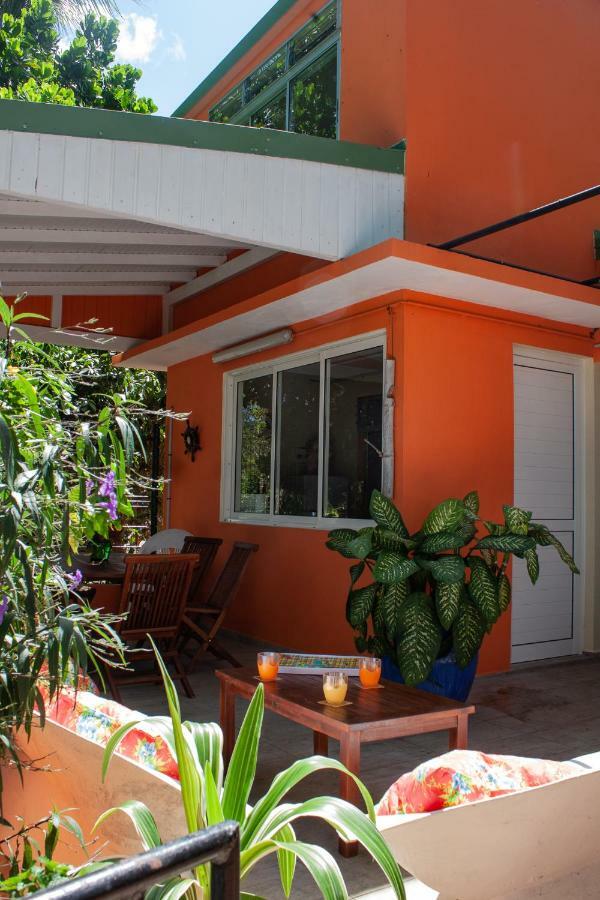 Le Cocon Otel Le Moule Dış mekan fotoğraf